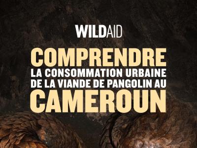 Consommation Urbaine De Viande De Pangolin Au Cameroun